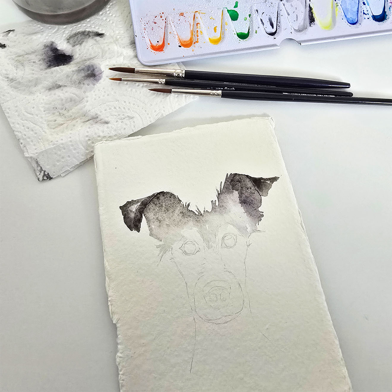 Hoe ontstaat een dierenillustratie? Een kijkje achter de schermen.