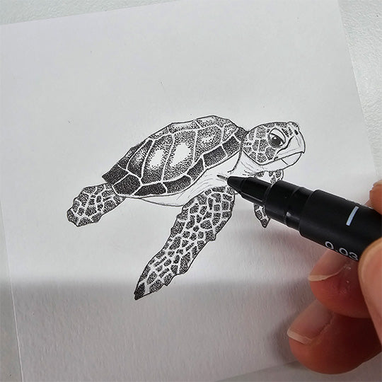 Masterclass inkttekenen