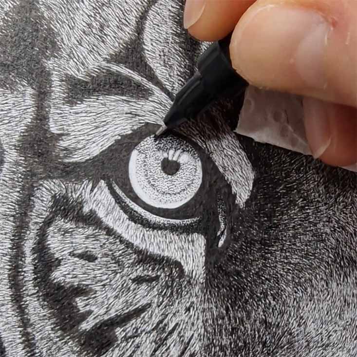 Masterclass inkttekenen