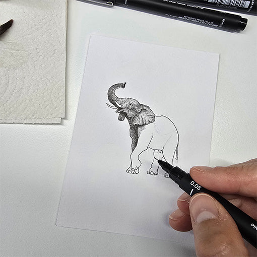 Masterclass inkttekenen