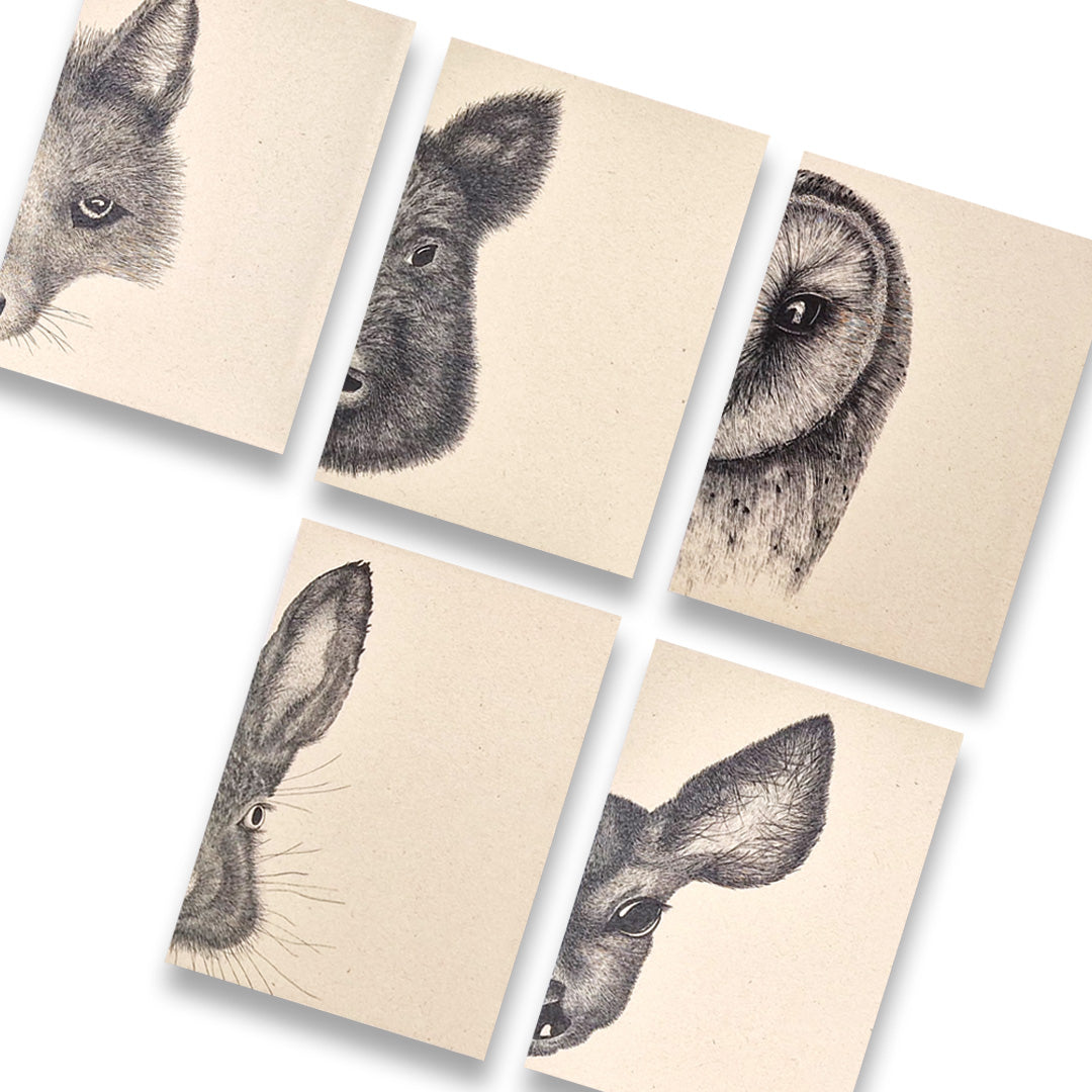 kaartenset-bosdiern-vos-zwijn-uil-konijn-ree-voorkant