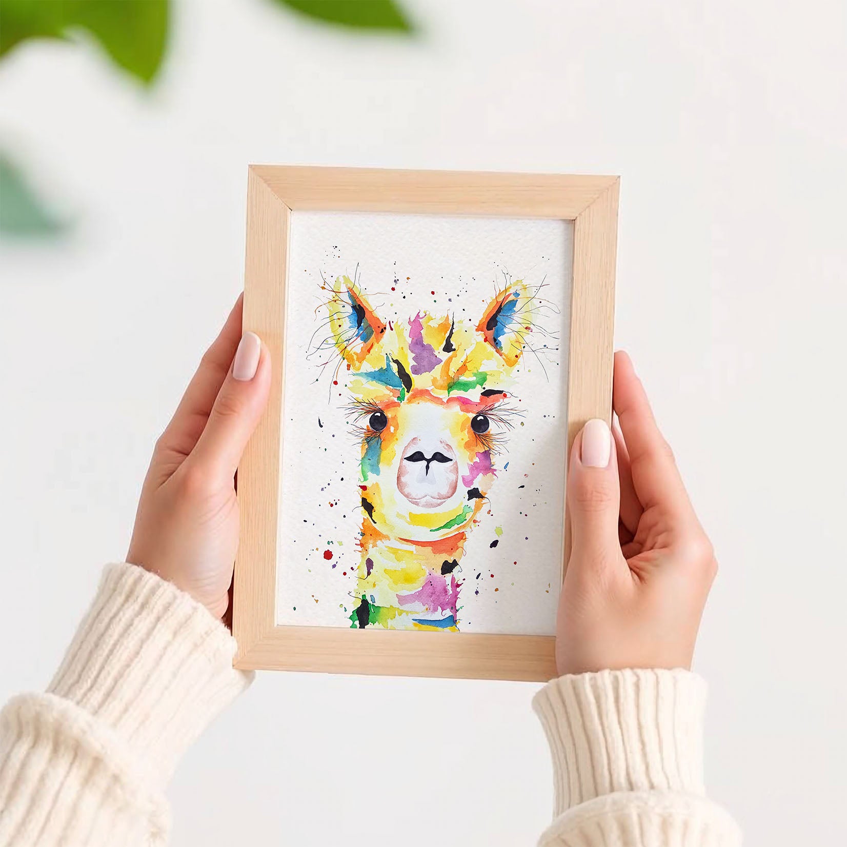 Alpaca in lijstje