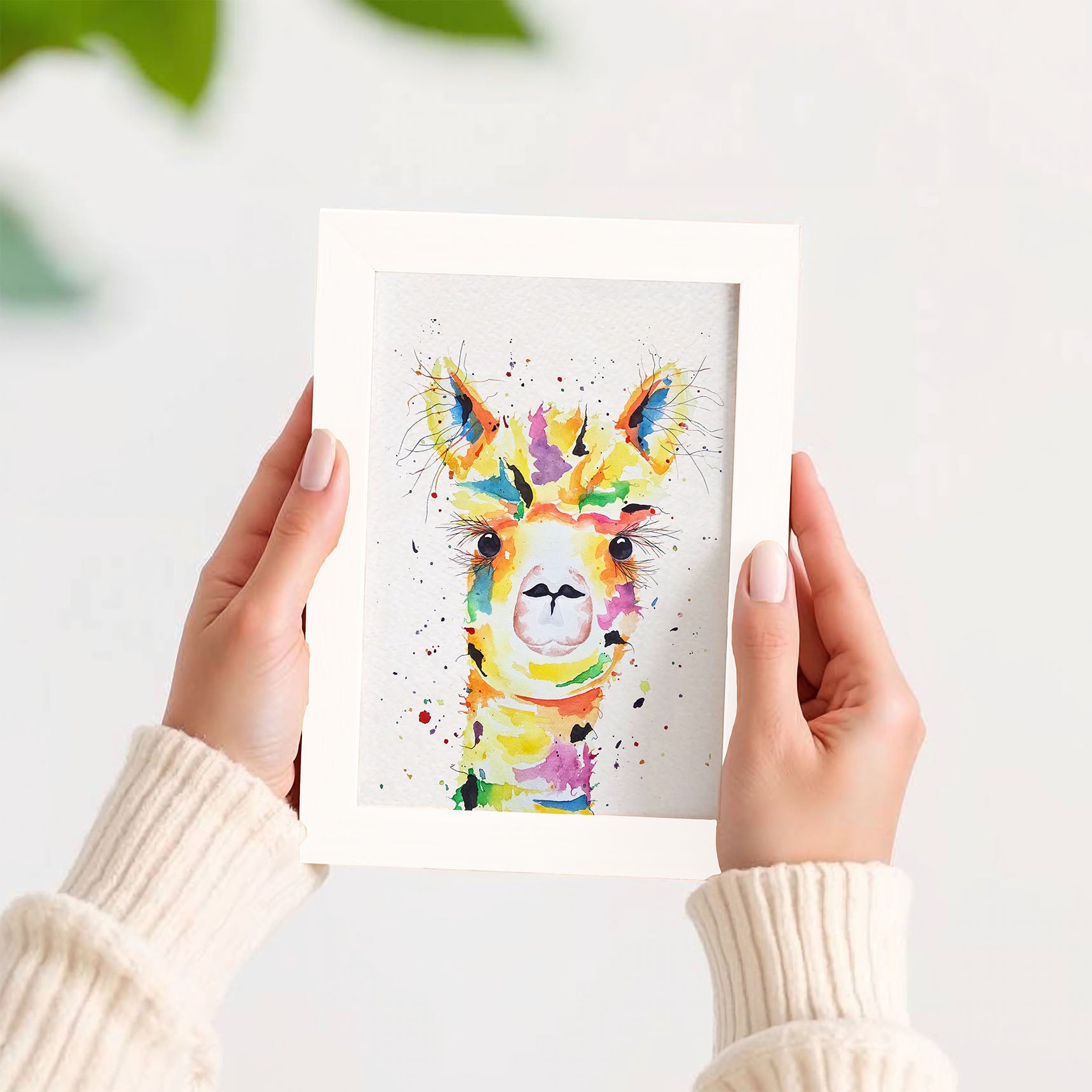 Alpaca in lijstje