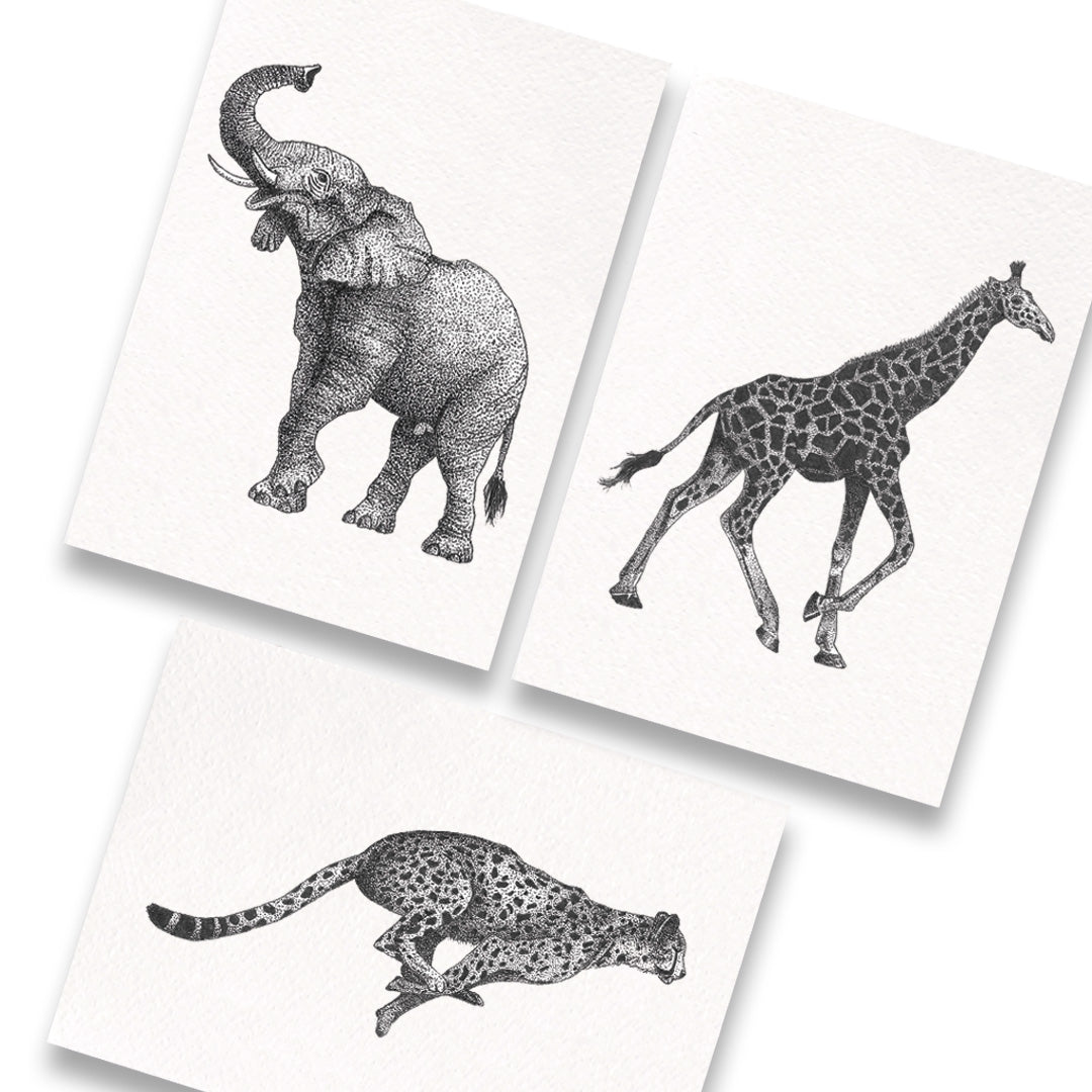 kaartenset-Afrika-olifant-giraffe-cheetah-zwart-wit