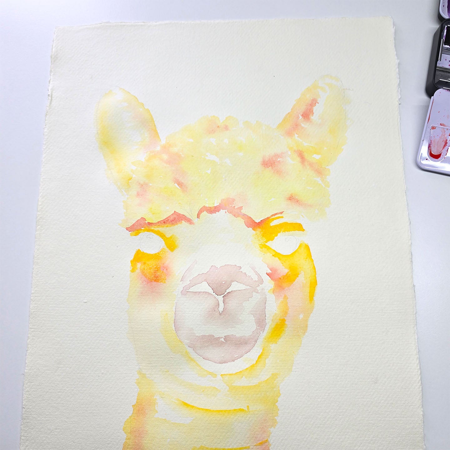 De eerste laag aquarelverf voor alpaca schilderij staat op papier