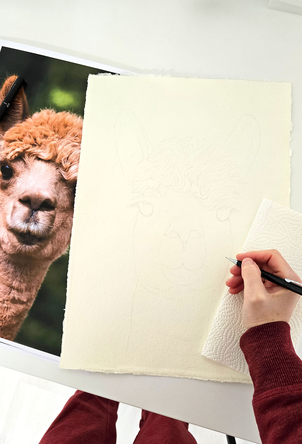 Potloodschets wordt op papier gezet van alpaca kunstwerk