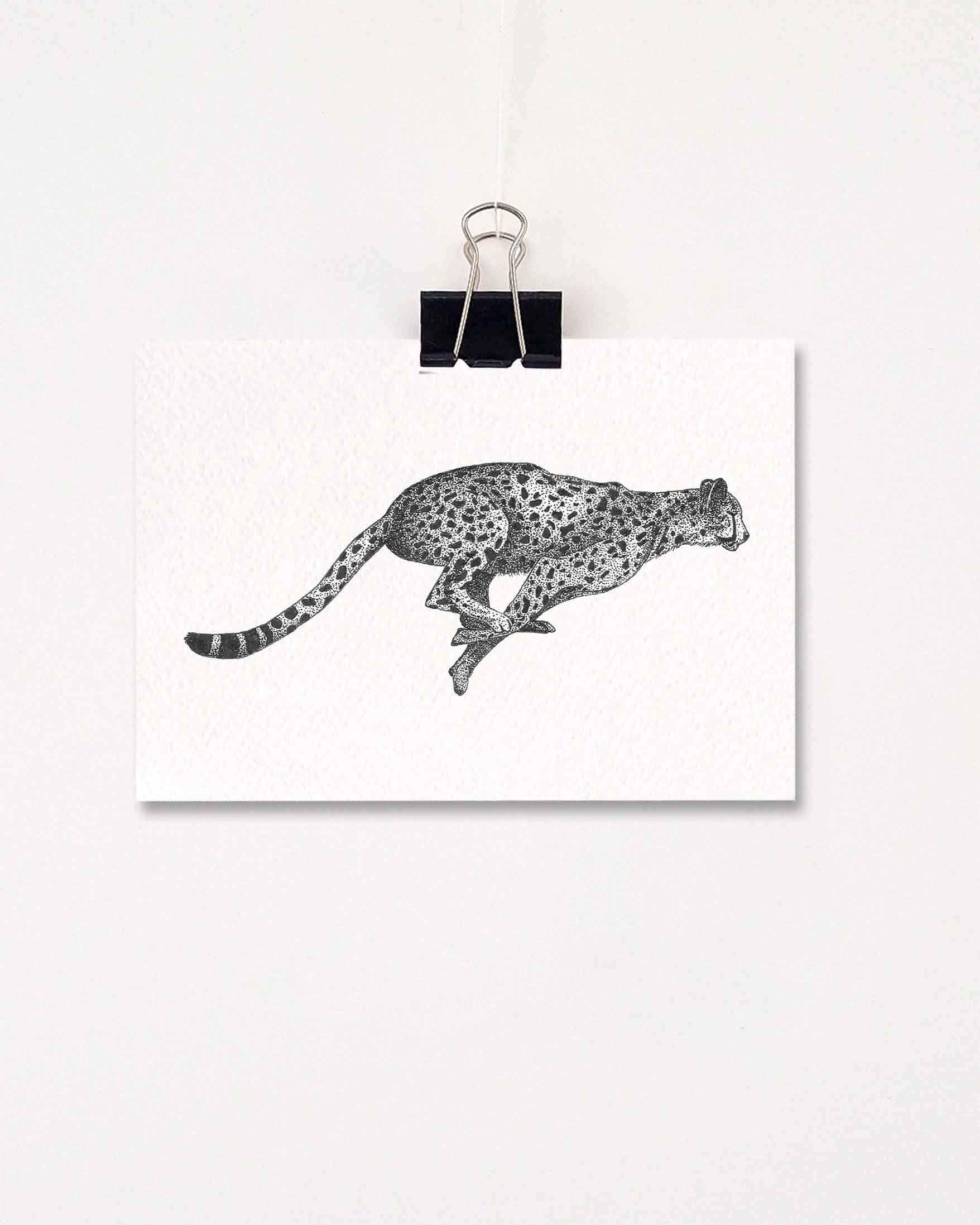 Kaarten dieren Afrika