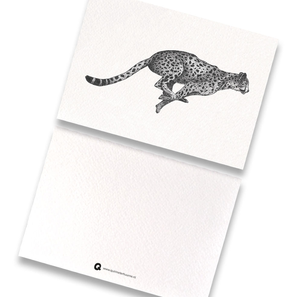 Kaart cheetah Afrika