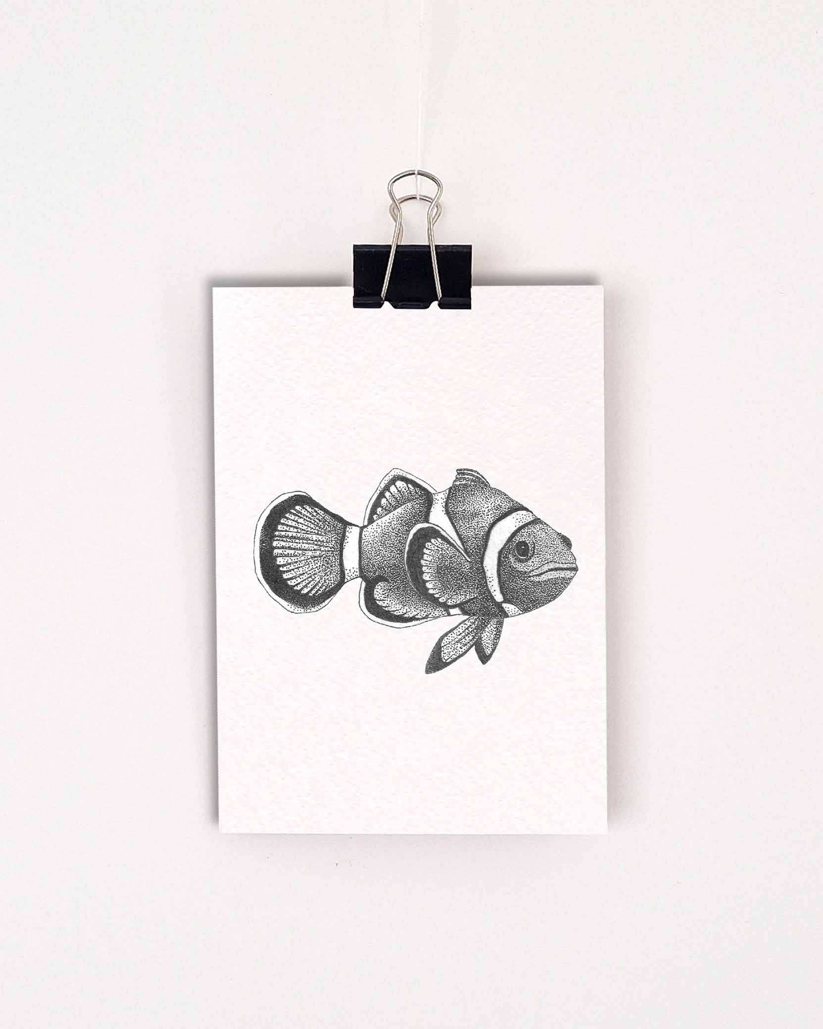 Kaart clownfish