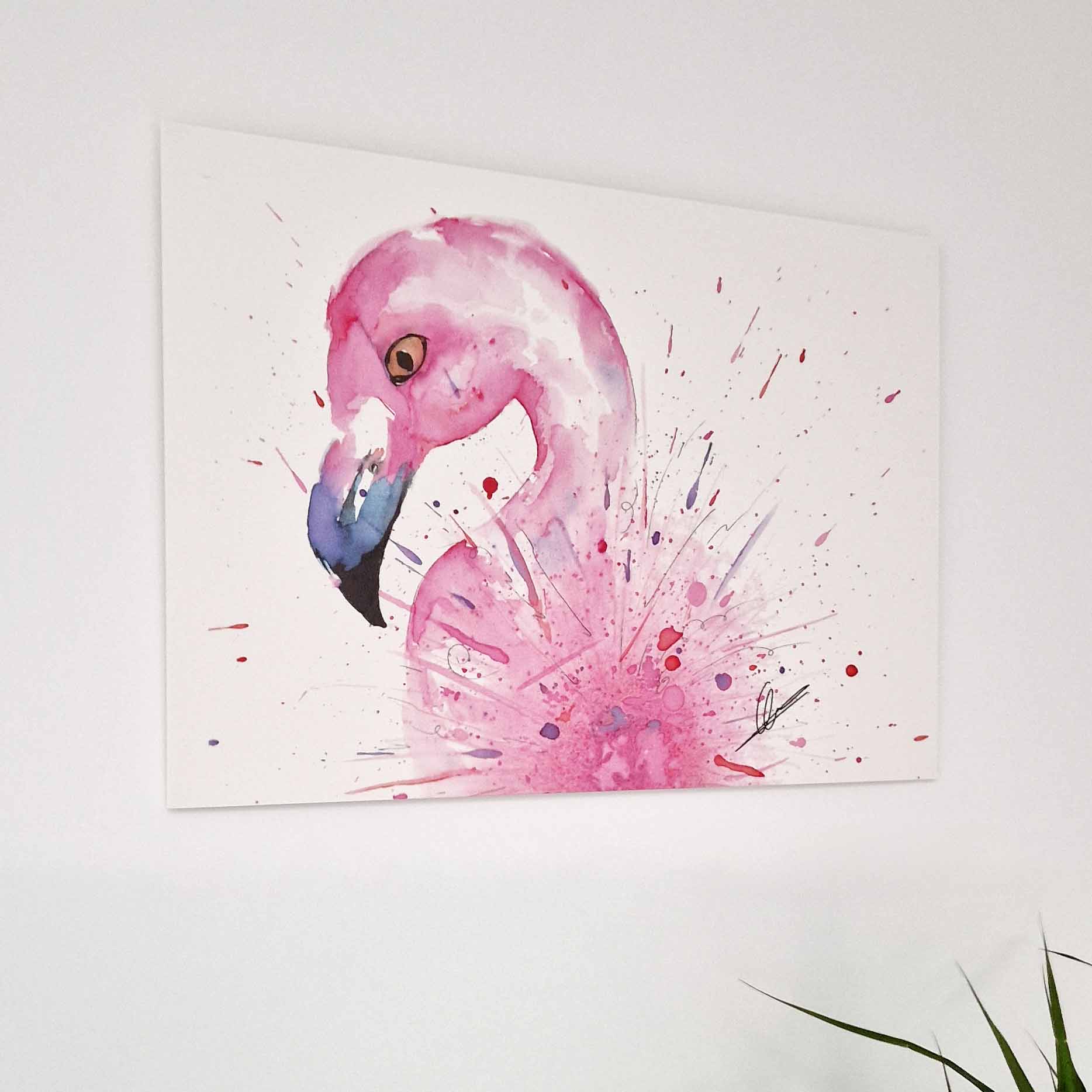 Flamingo op forex