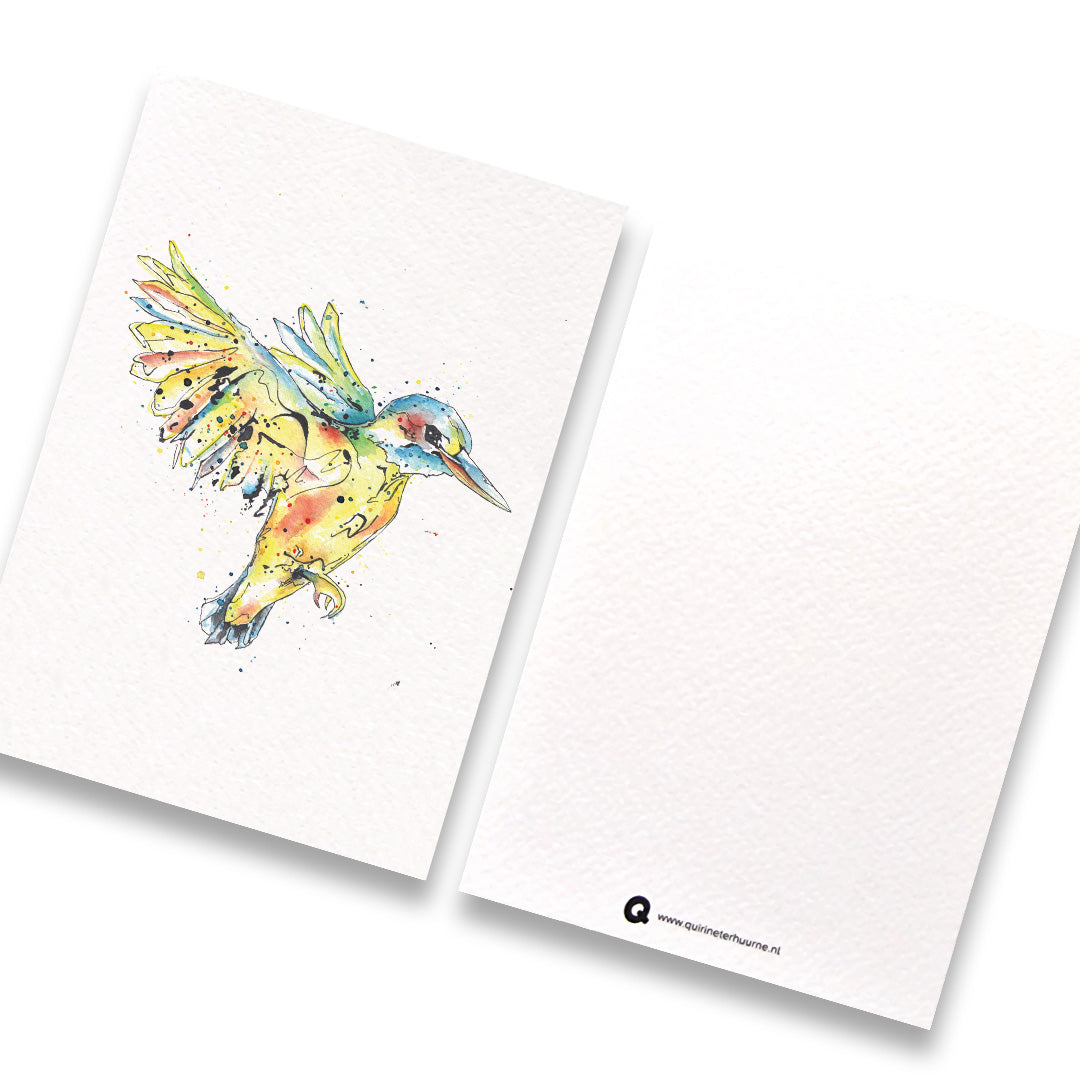 kaart-ijsvogel-gekleurd