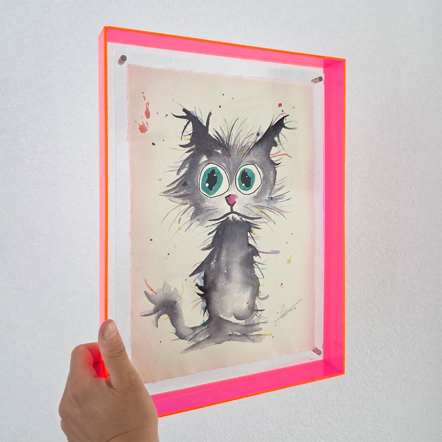 Kat - origineel