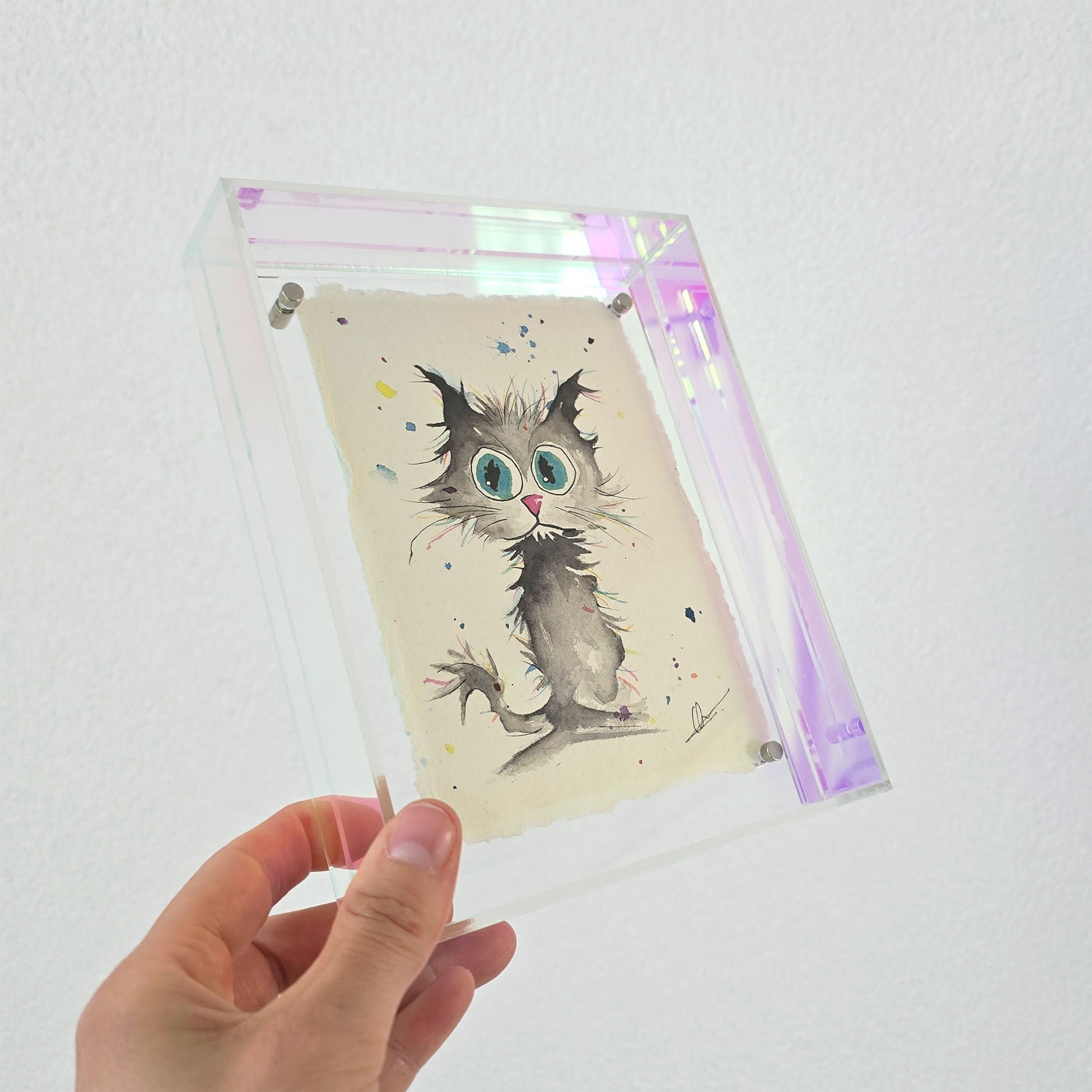 Kat - origineel
