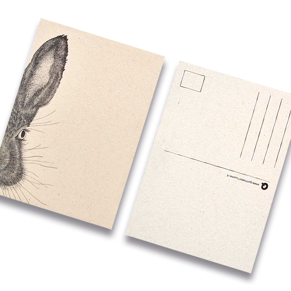 Kaart bosdier konijn