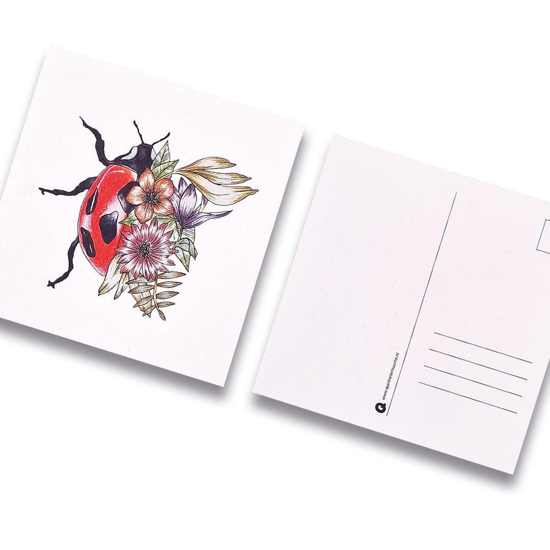 Kaart insect lieveheersbeest