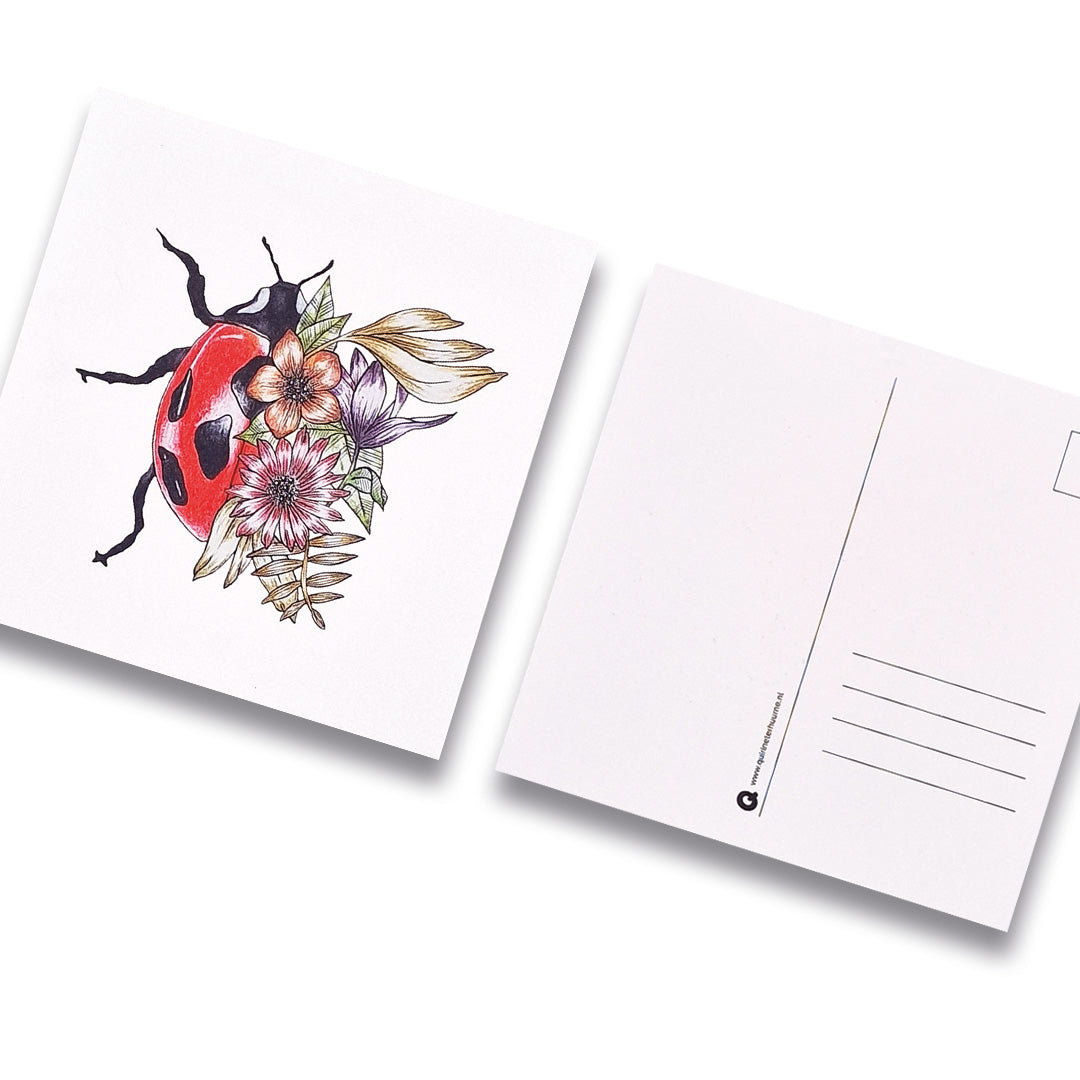 kaart-insect-lieveheersbeest-bloemen-gekleurd