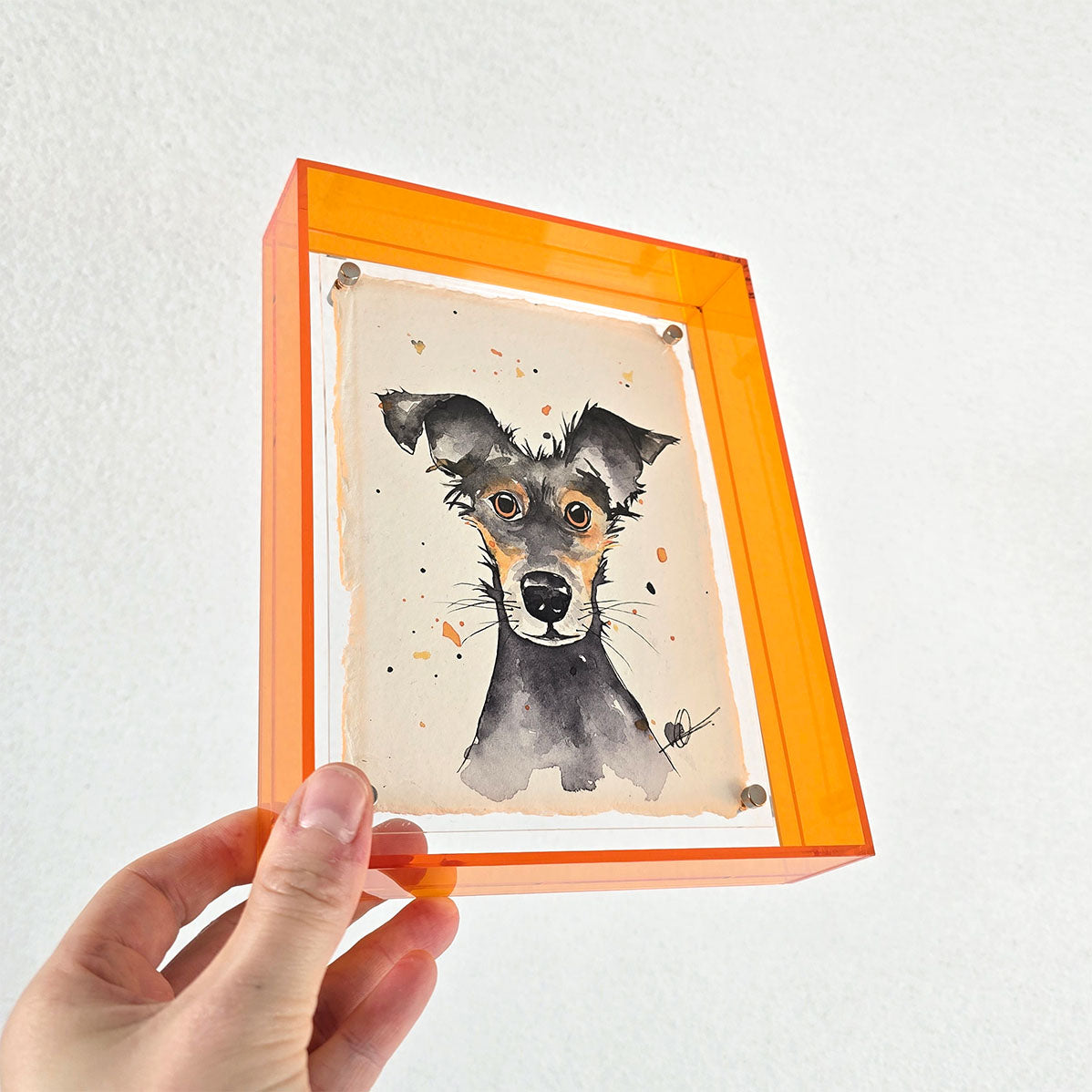 Origineel hond oranje