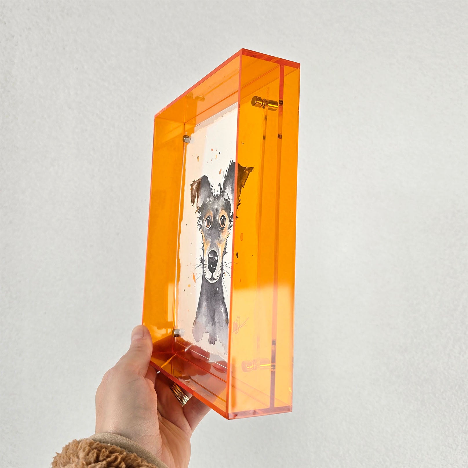 Origineel hond oranje