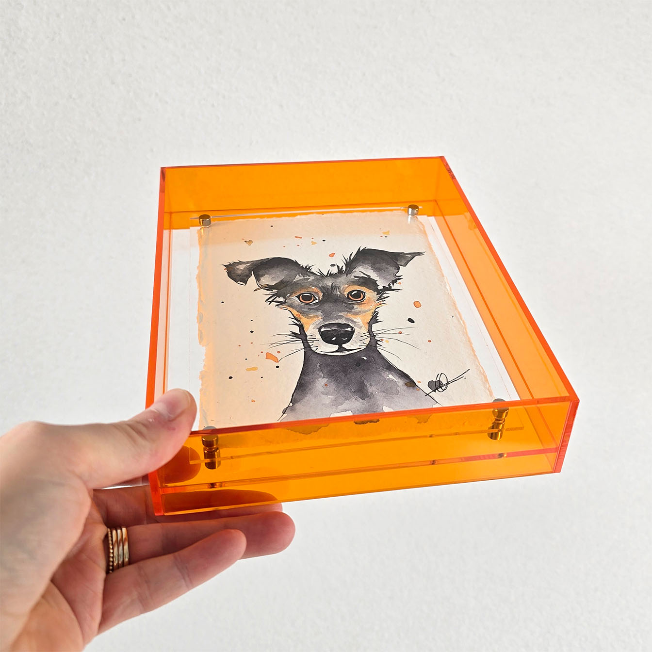 Origineel hond oranje