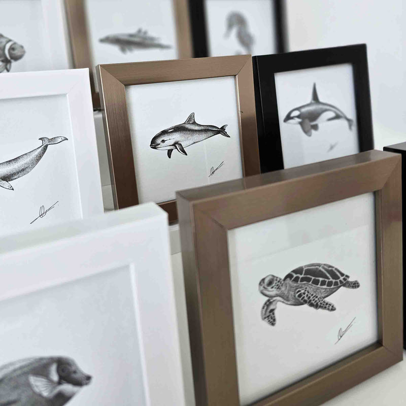 Zwart-witte fineliner originals bij elkaar gepresenteerd op kast