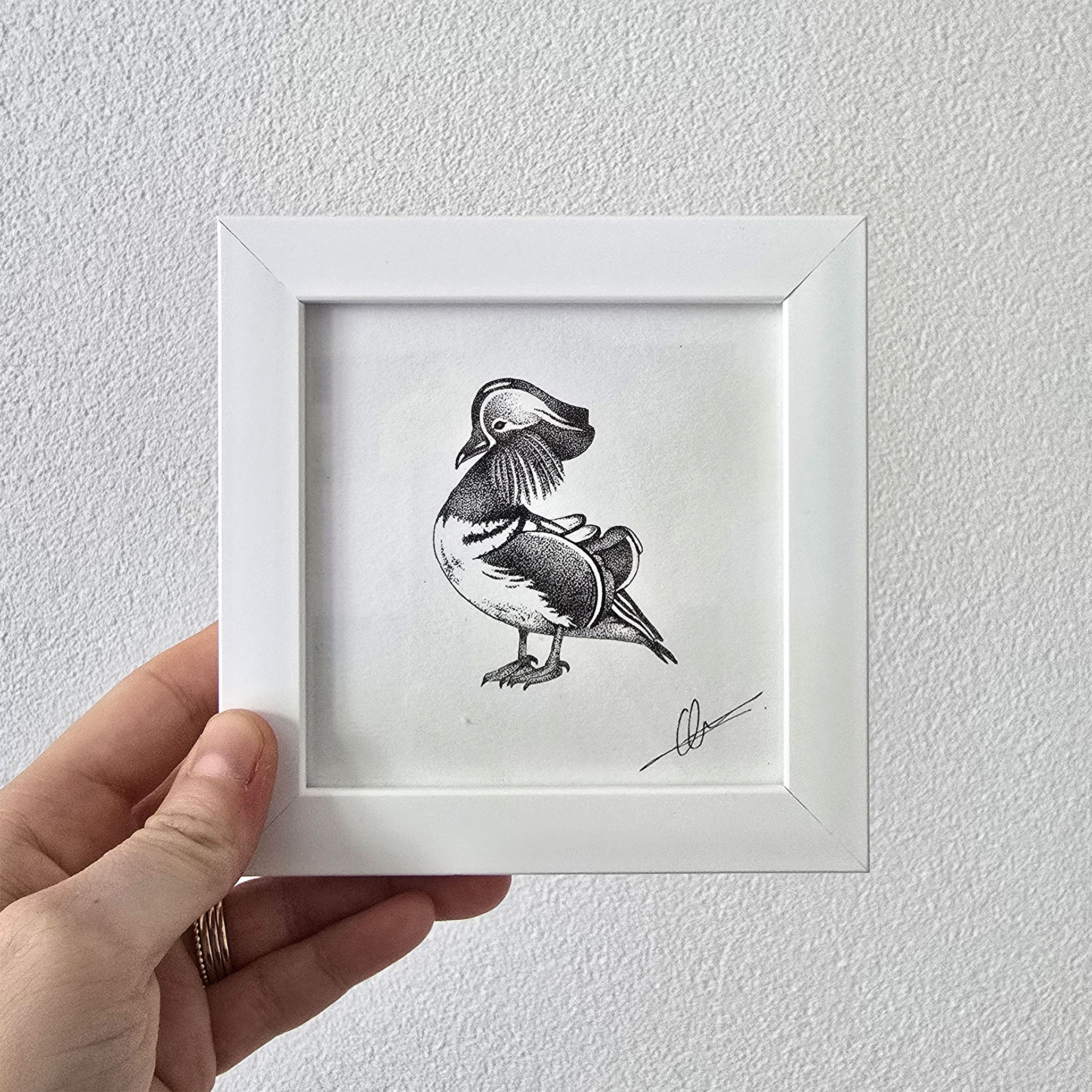 Origineel mandarijneend