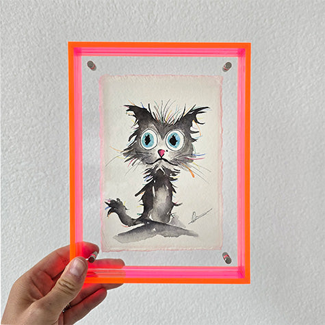 Mini original zwarte kat