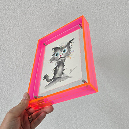 Mini original zwarte kat