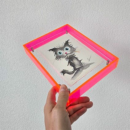 Mini original zwarte kat