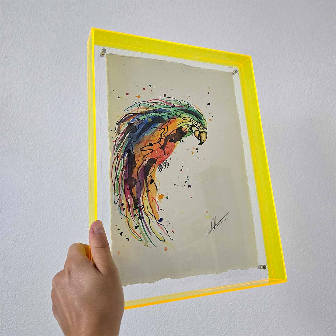 Mini original papegaai 5