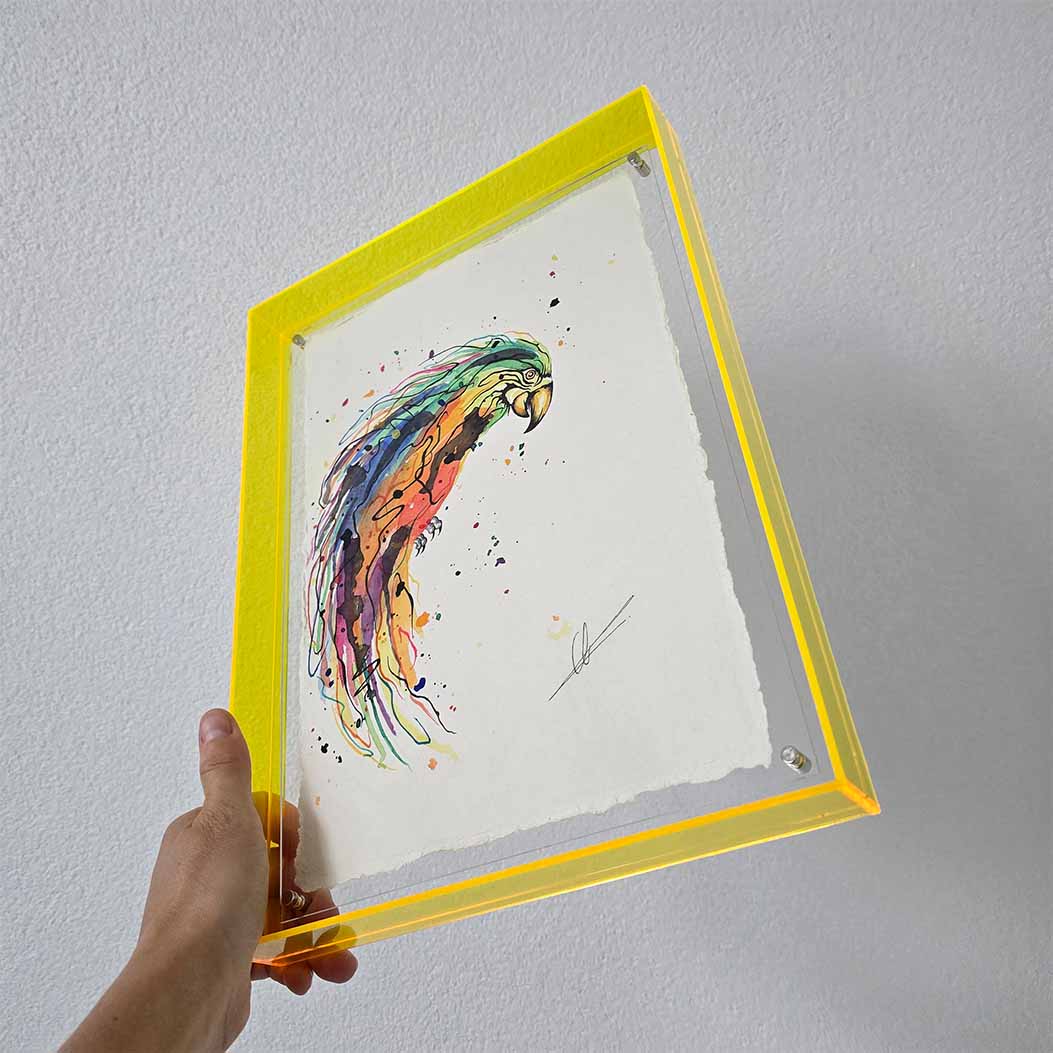 Mini original papegaai 5