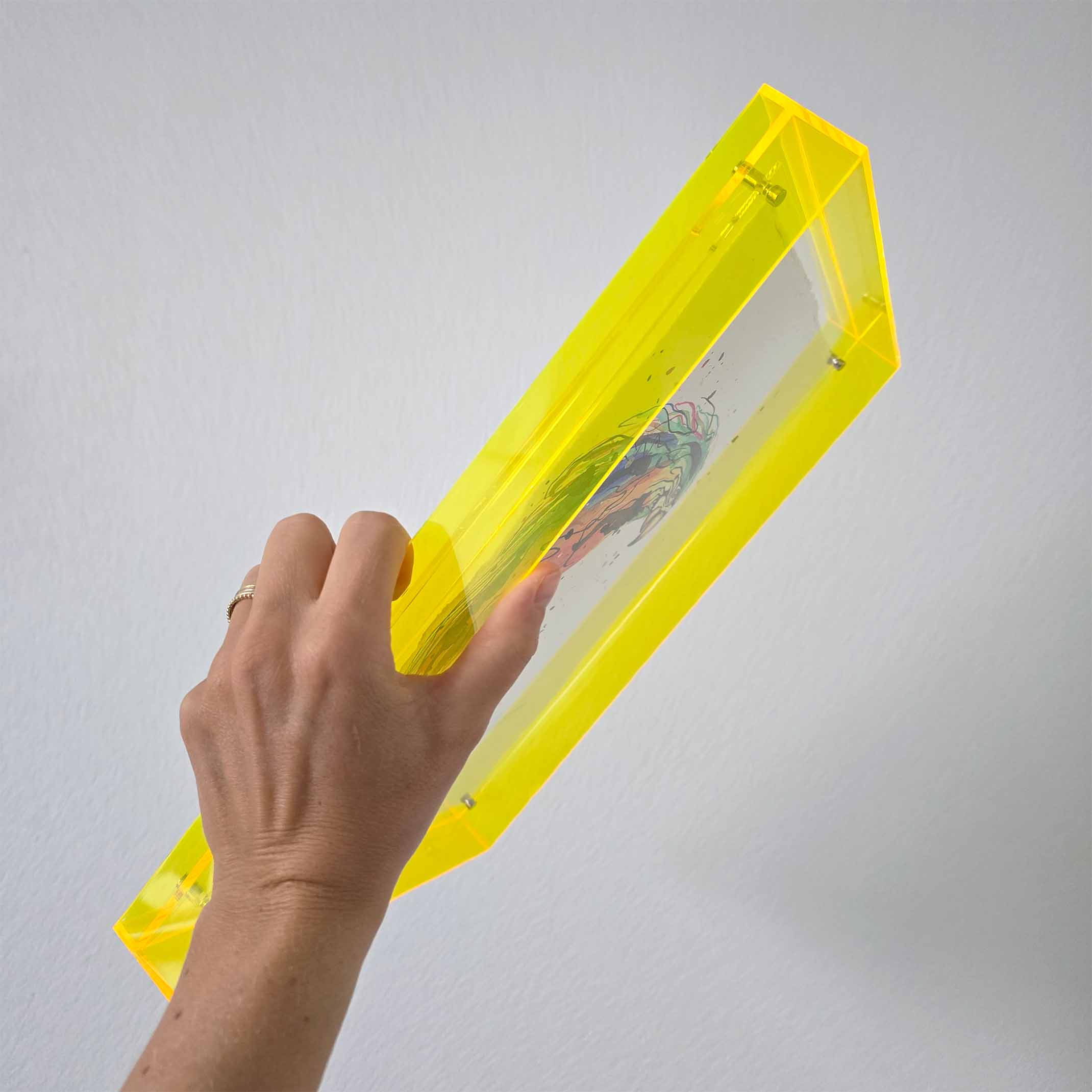 Mini original papegaai 5