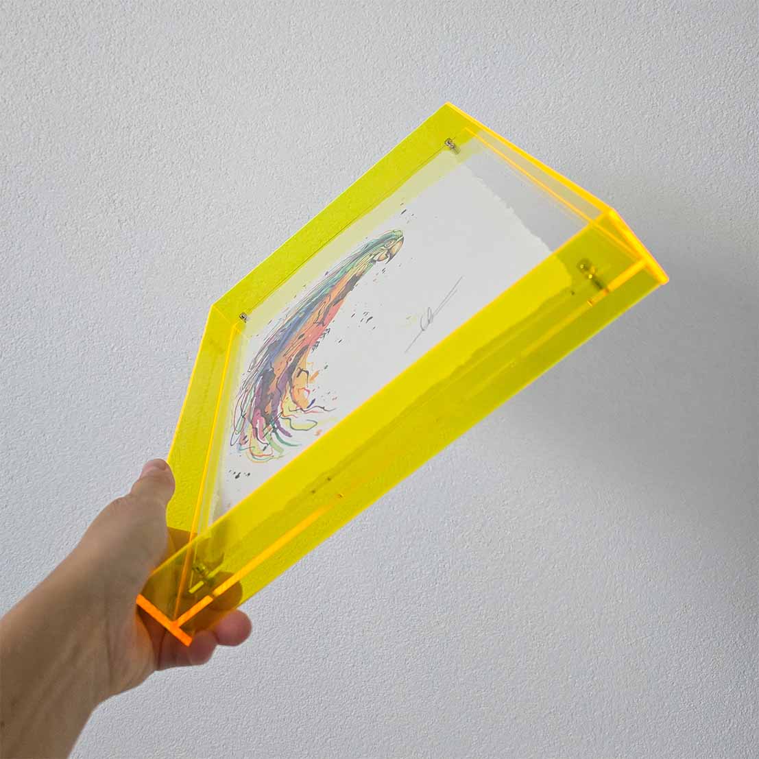 Mini original papegaai 5