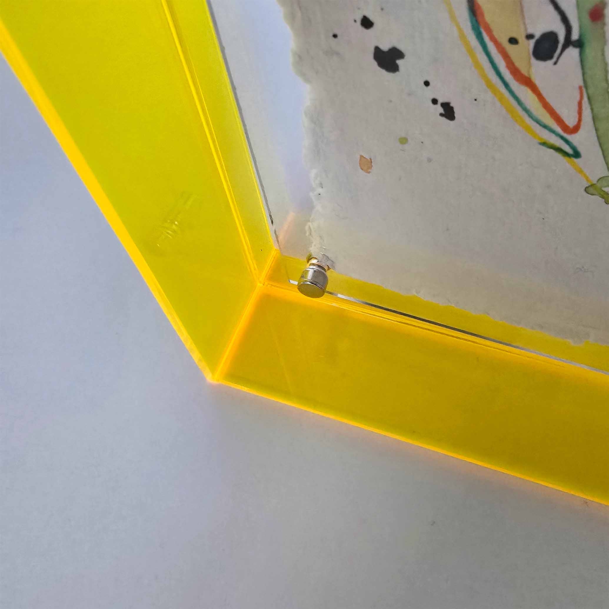 Mini original papegaai 5