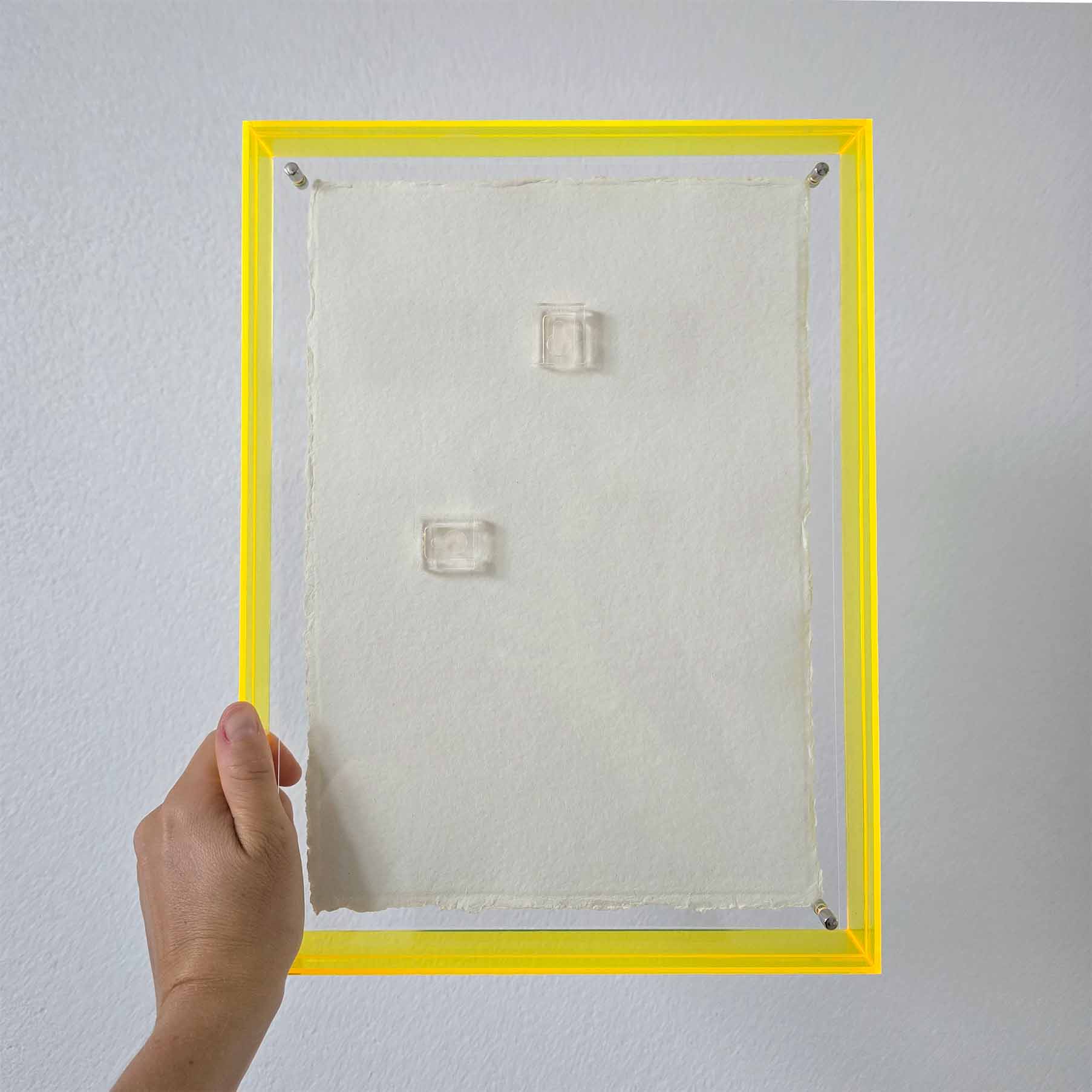 Mini original papegaai 5