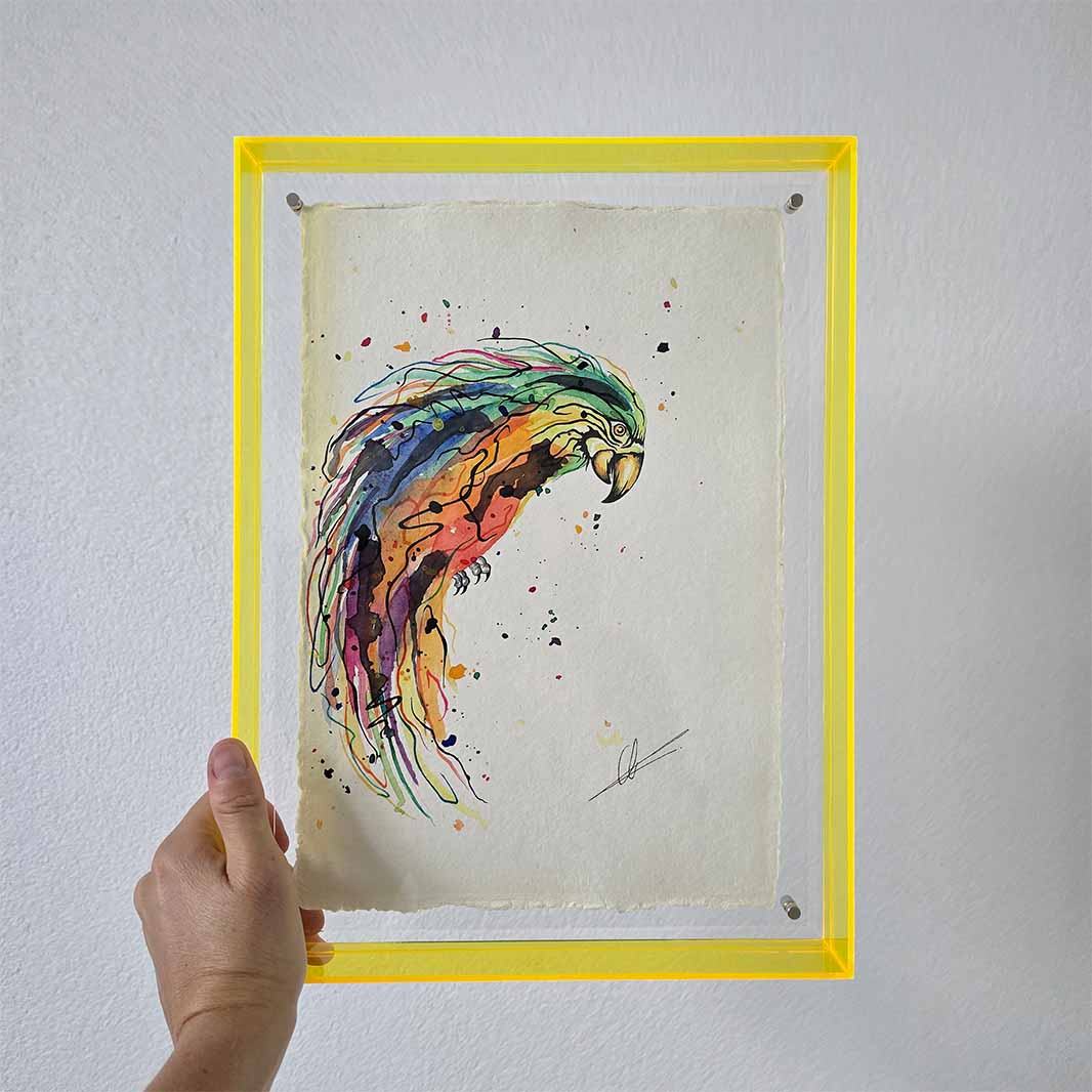 Mini original papegaai 5