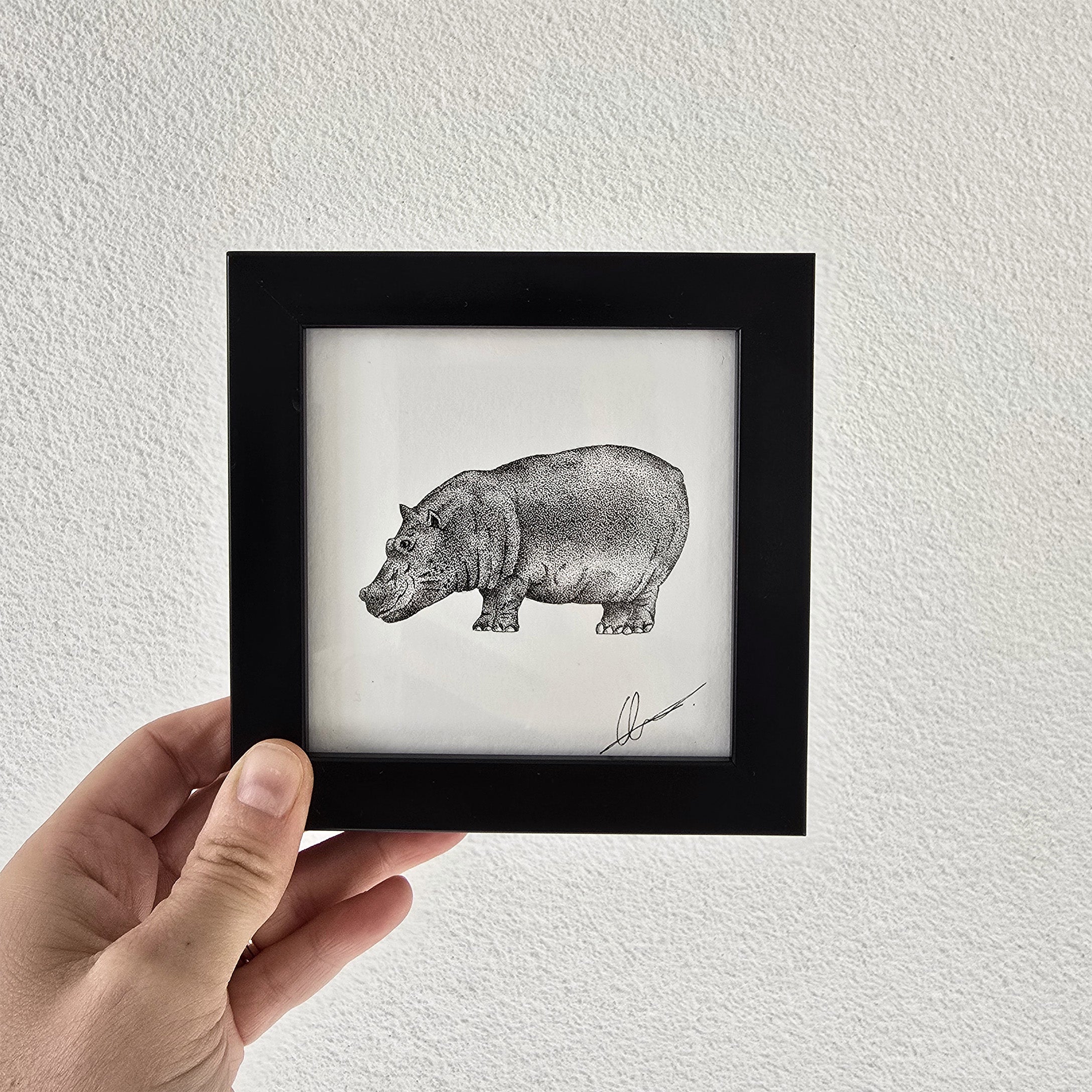 origineel-mini-nijlpaard-zwart-wit-ingelijst