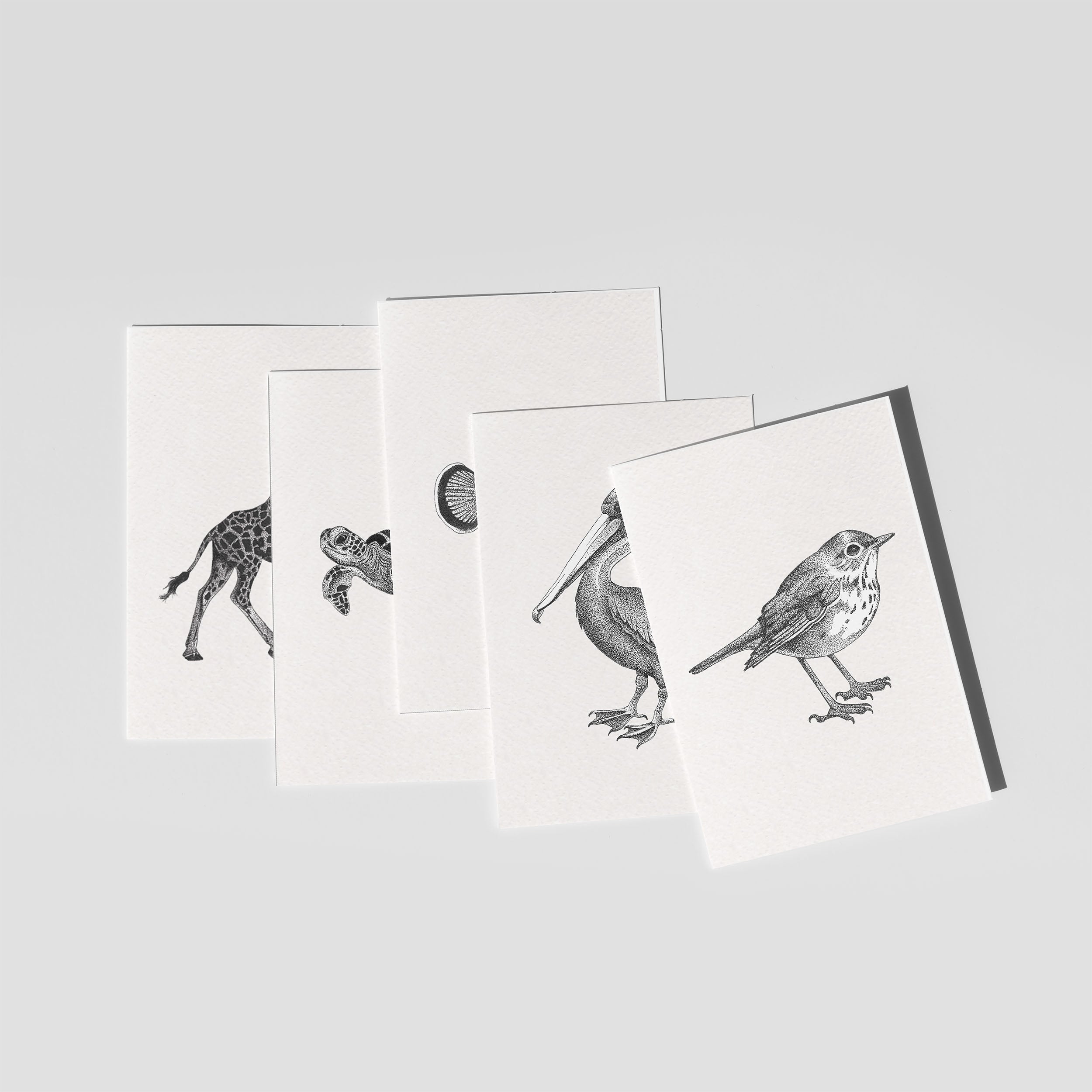 Zwart-wit set (5 st.)