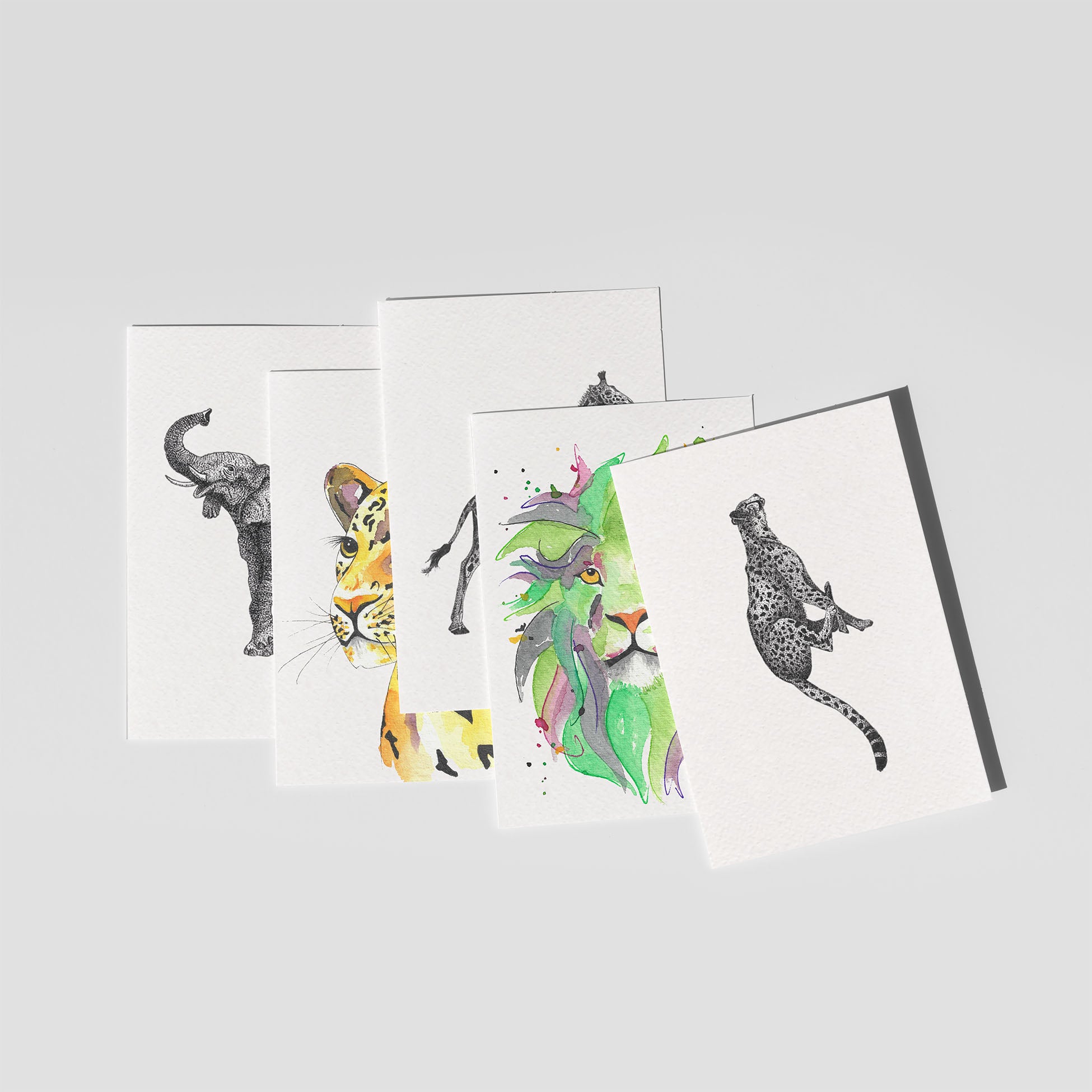 Afrika set (5 st.)