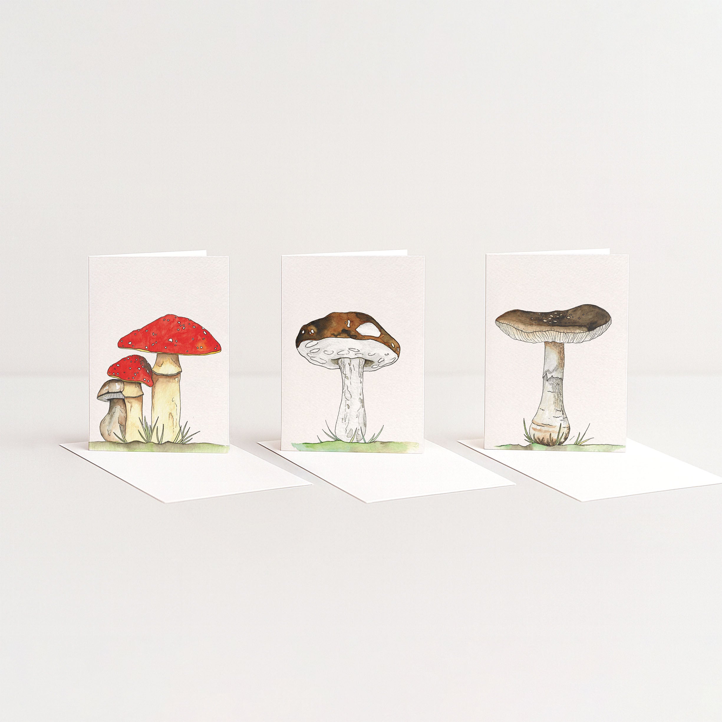 Fungi set (3 st.)