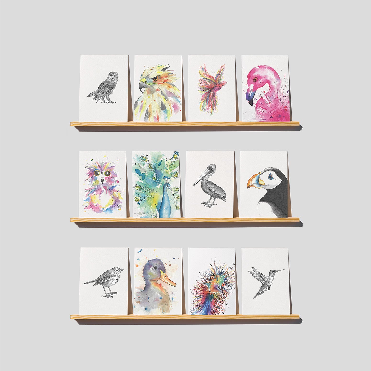 Vogels set (12 st.)