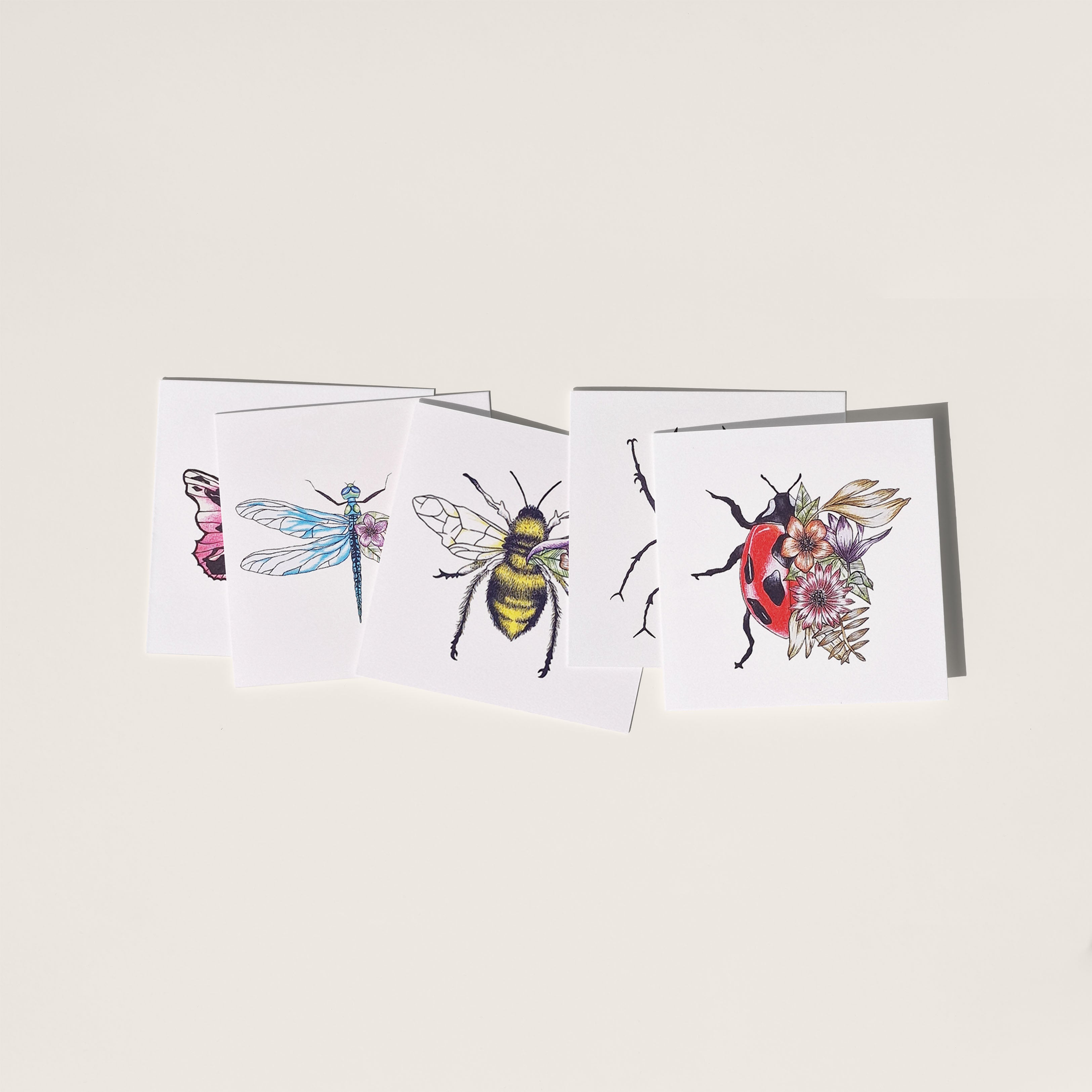 Insecten kaartenset