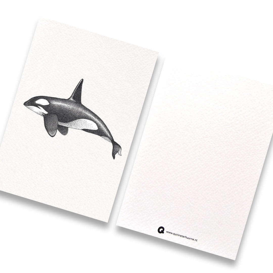 Kaart z/w orka walvis