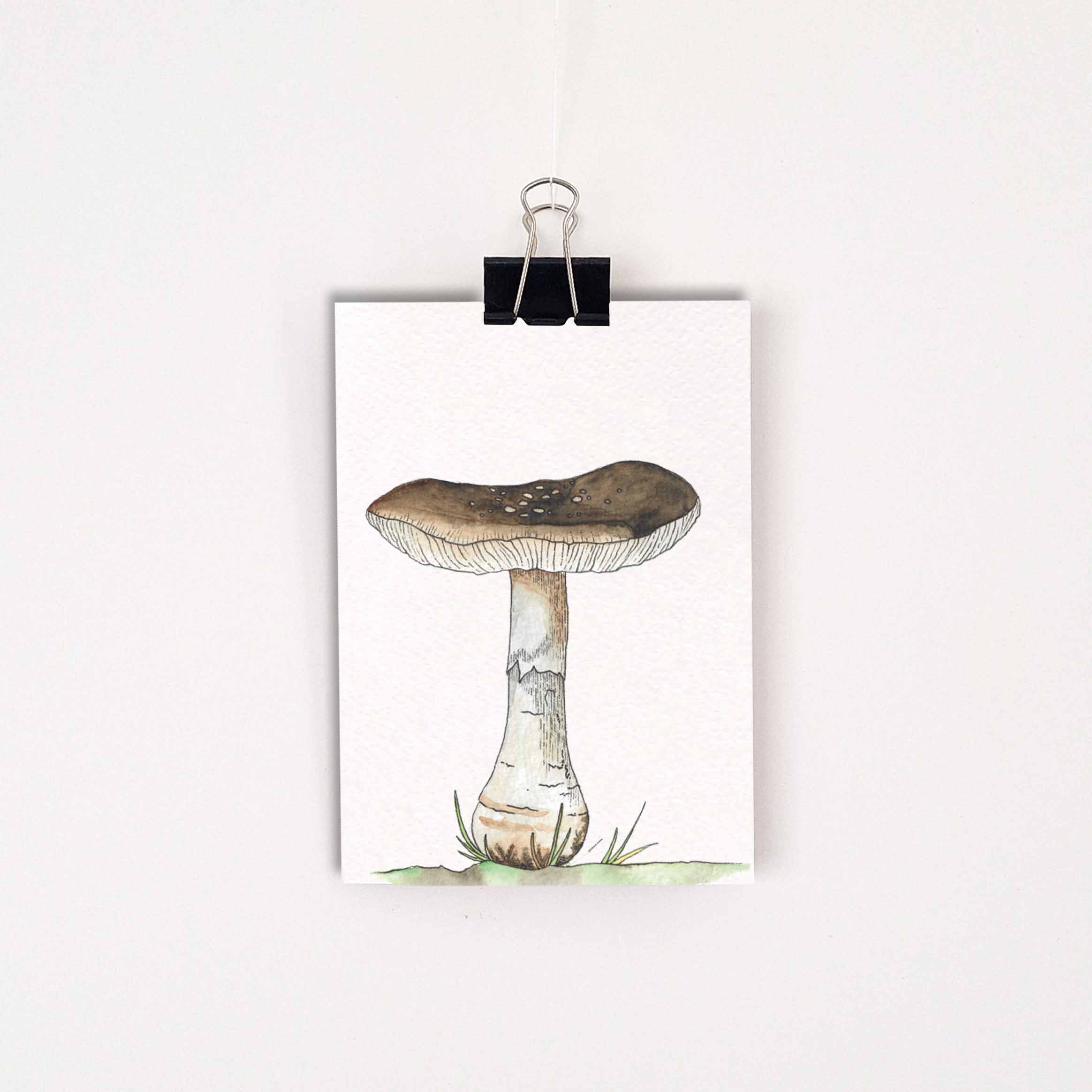 Kaarten paddenstoelen