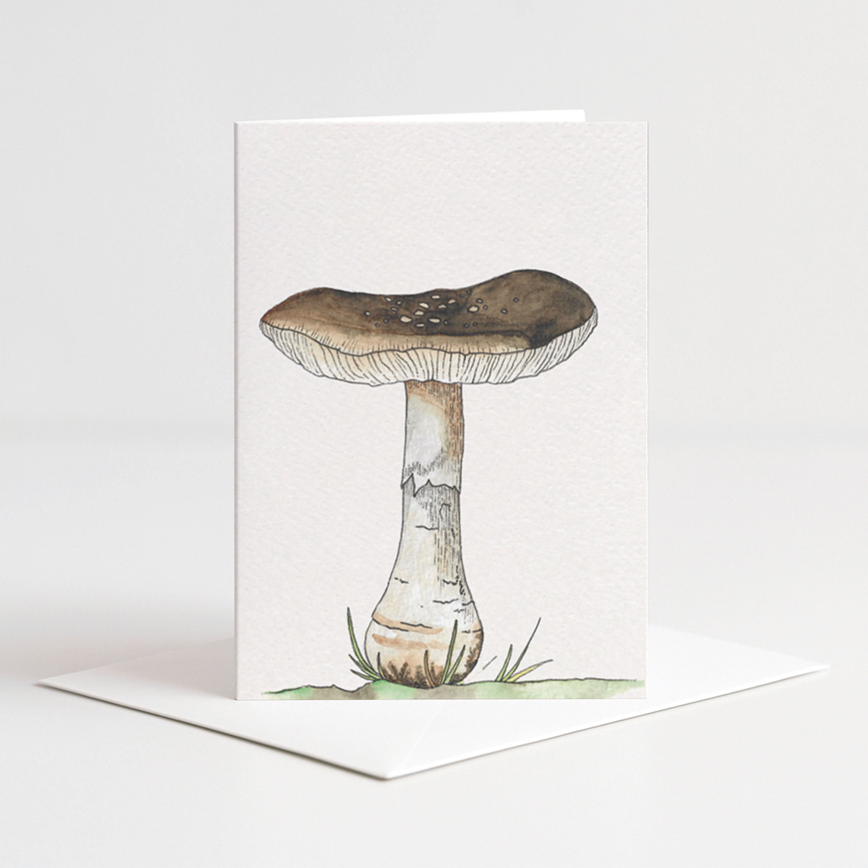 Fungi set (3 st.)