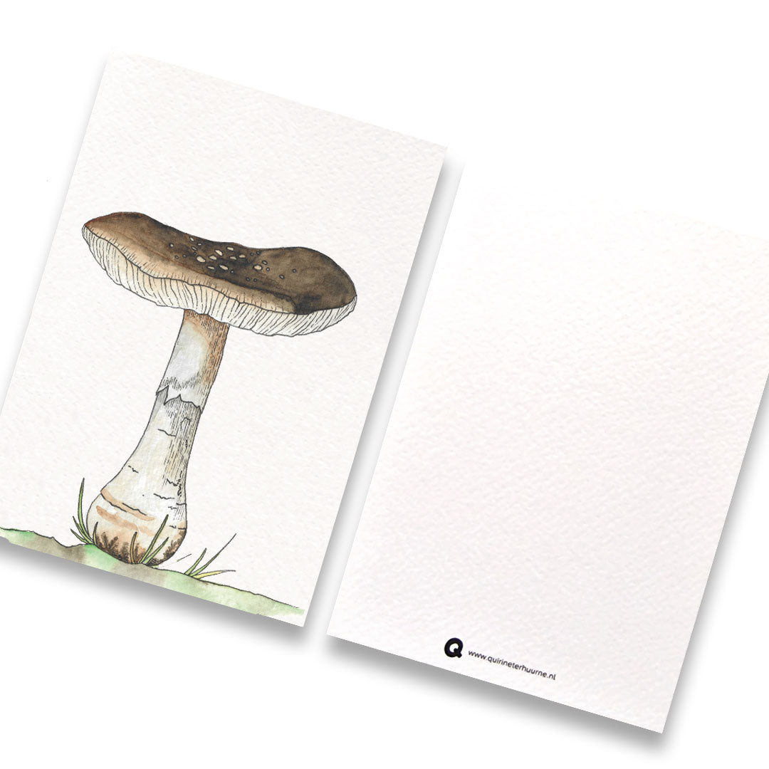 Kaart paddenstoel 1