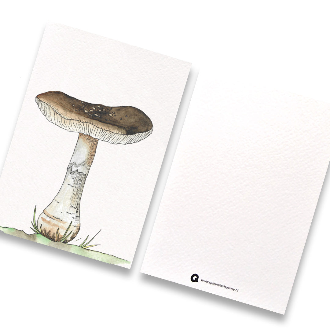 kaart-paddenstoel-bruin