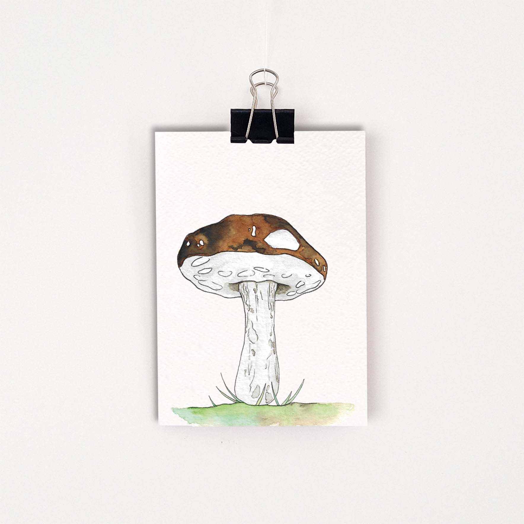 Kaarten paddenstoelen