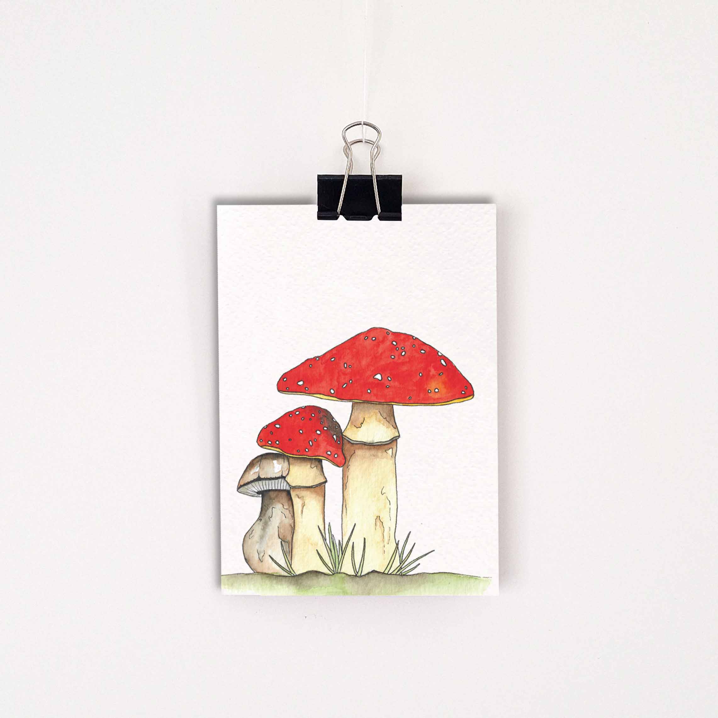 Kaarten paddenstoelen
