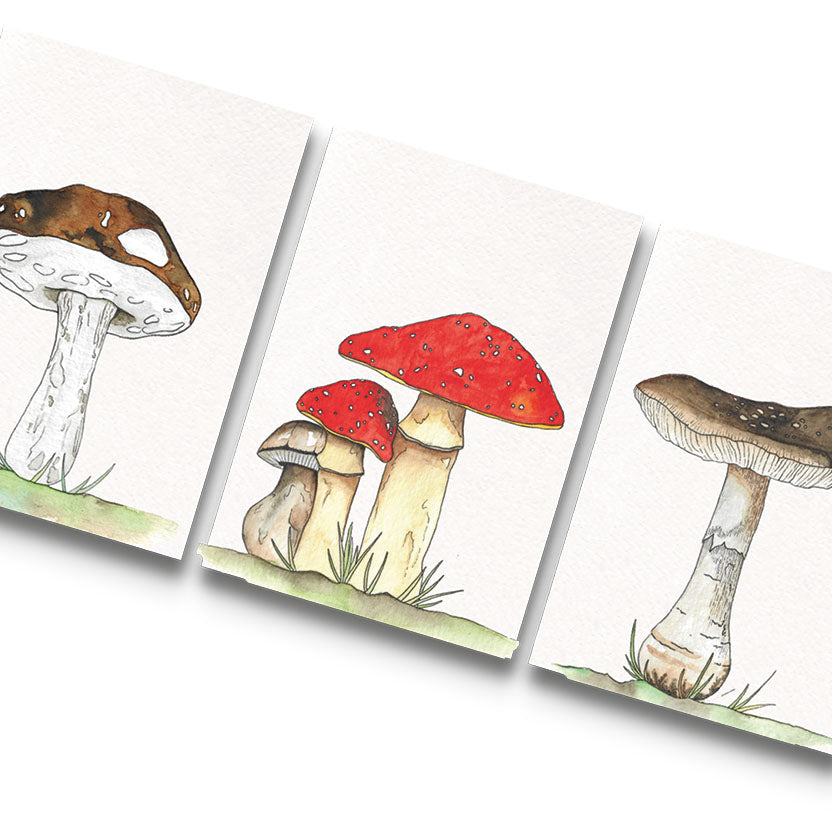 Kaarten paddenstoelen