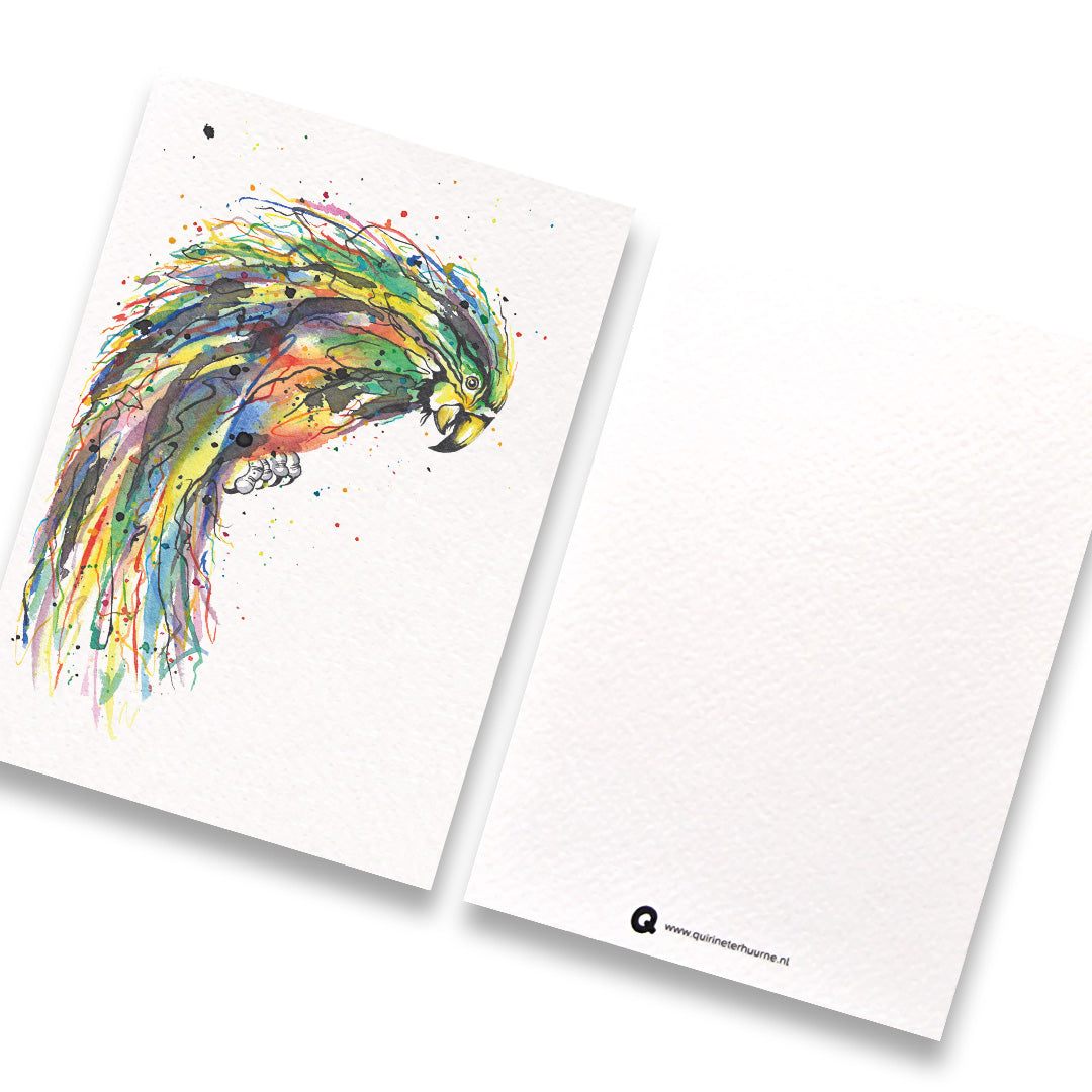 kaart-papegaai-1-gekleurd